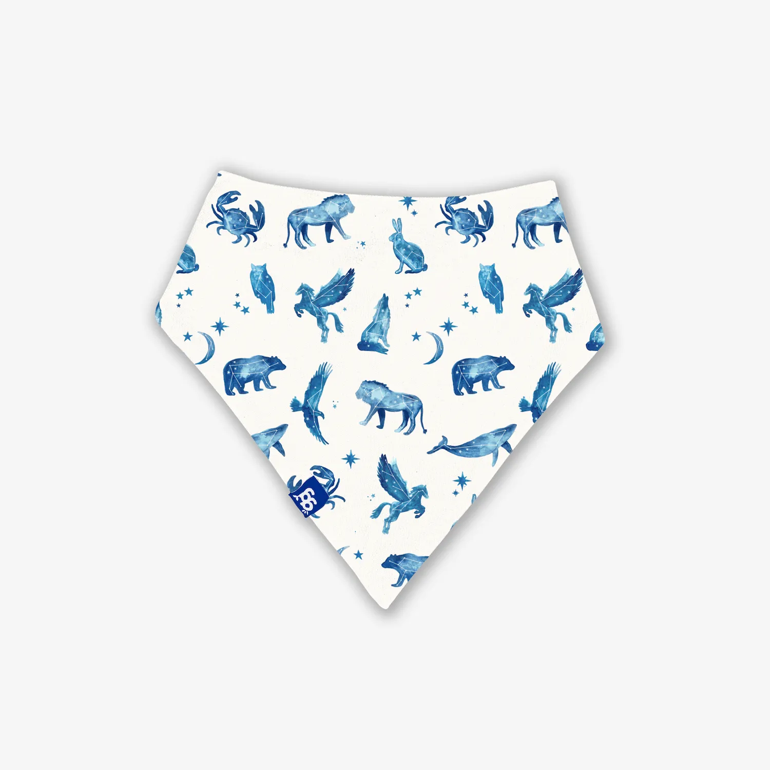 Cosmic Constellations Bib