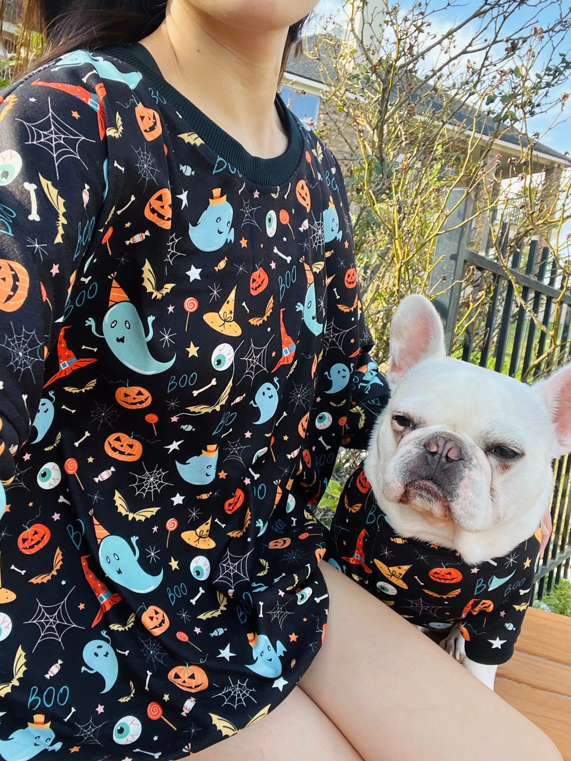 Halloween Spooky Ghost and Pumpkin Owner and Pet Matching Set