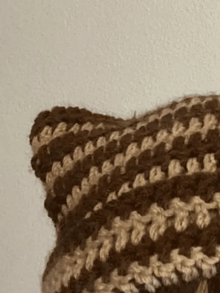 Hand Made Horn Detail Striped Knitted Hat