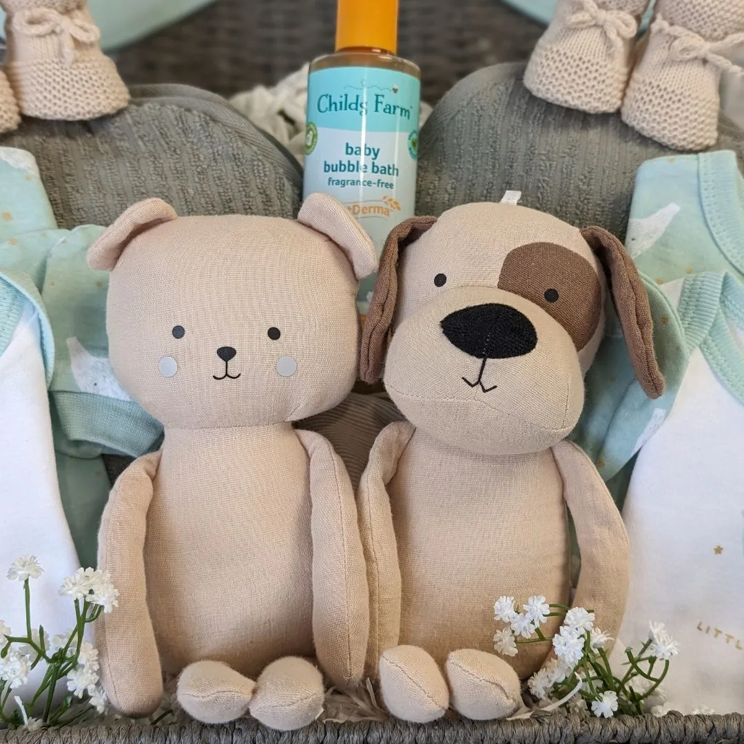 Large Twins Gifts Basket - Hello Little Ones