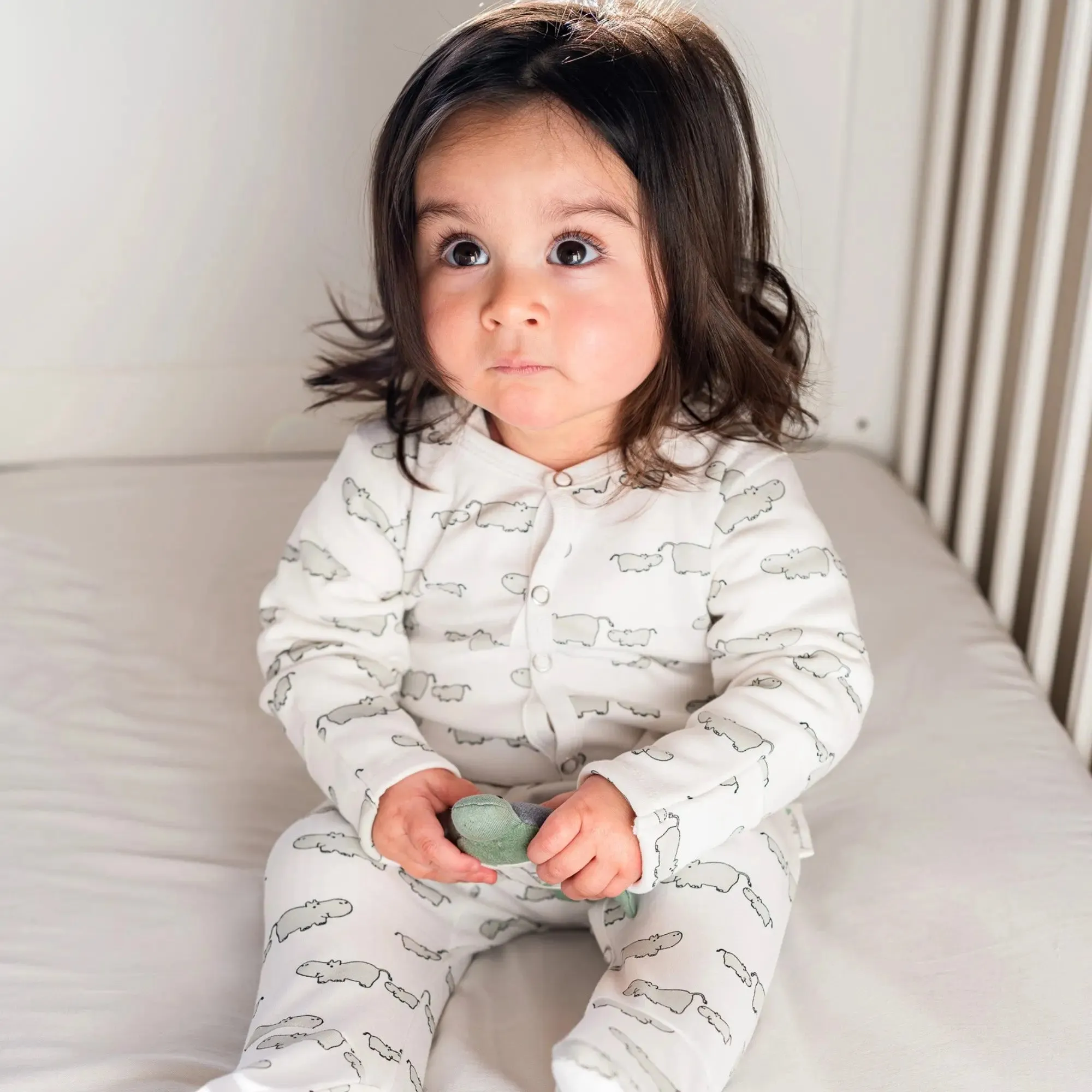 Winter Sleepsuit With Padded Sleeves (2pk) - Hippo