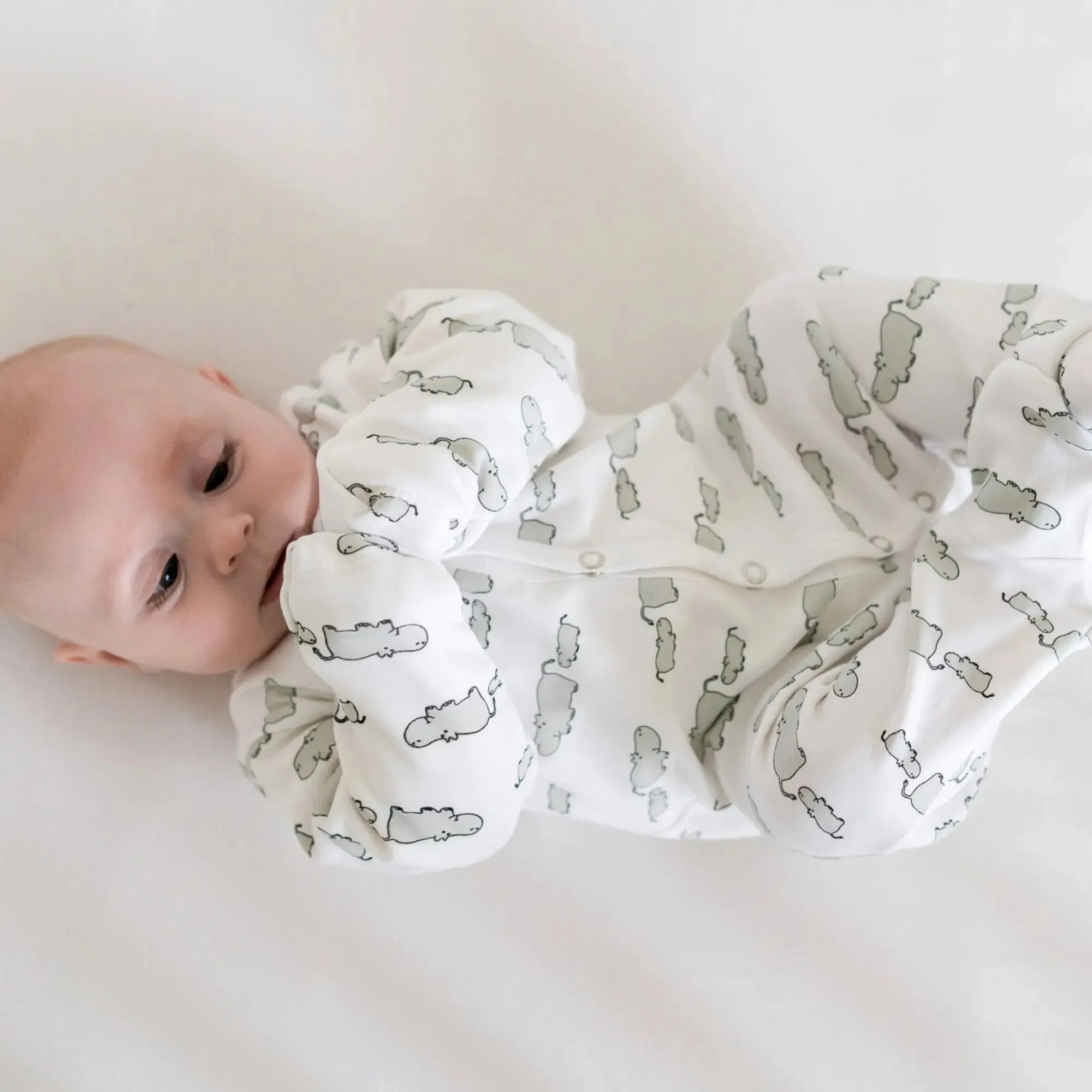 Winter Sleepsuit With Padded Sleeves (2pk) - Hippo