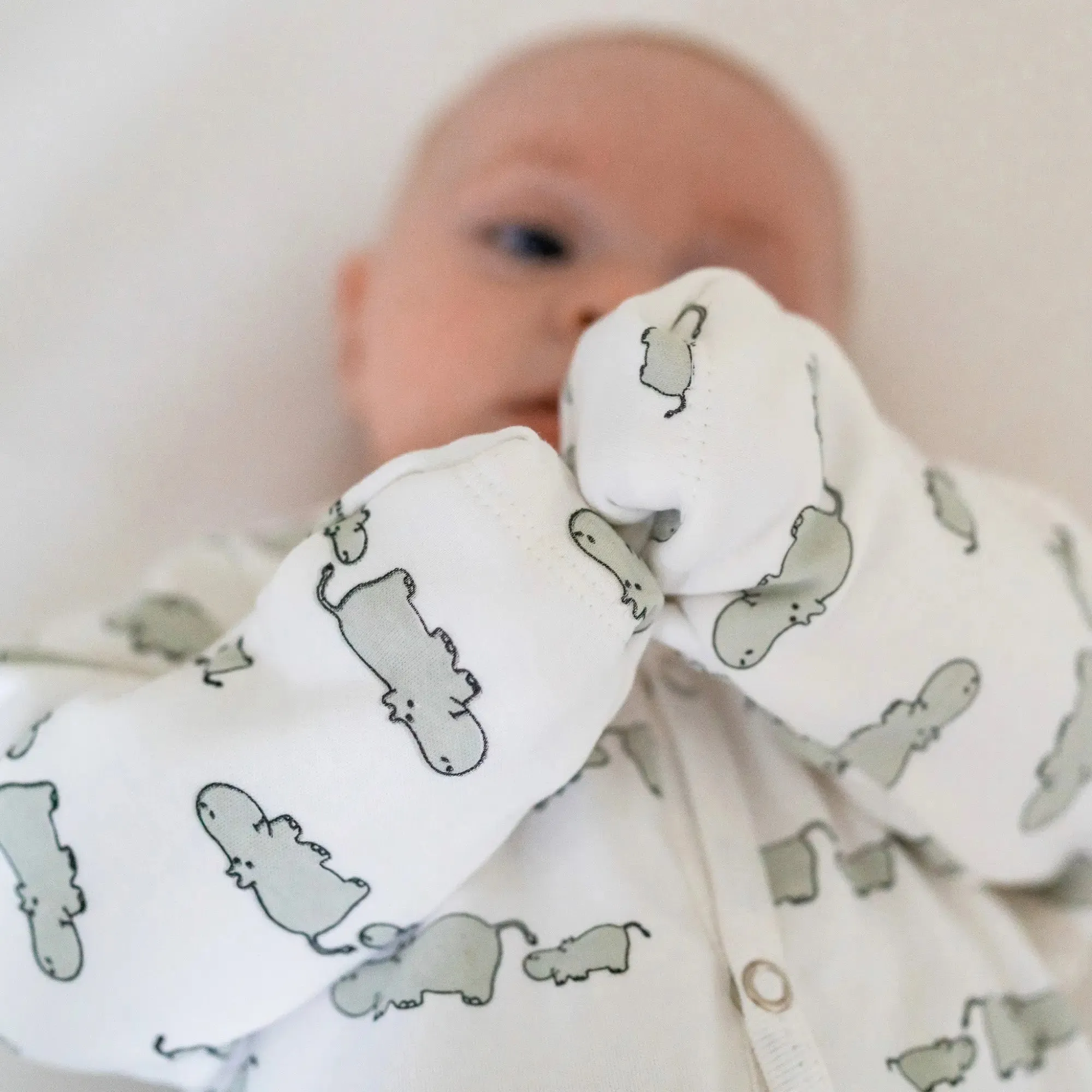 Winter Sleepsuit With Padded Sleeves (2pk) - Hippo