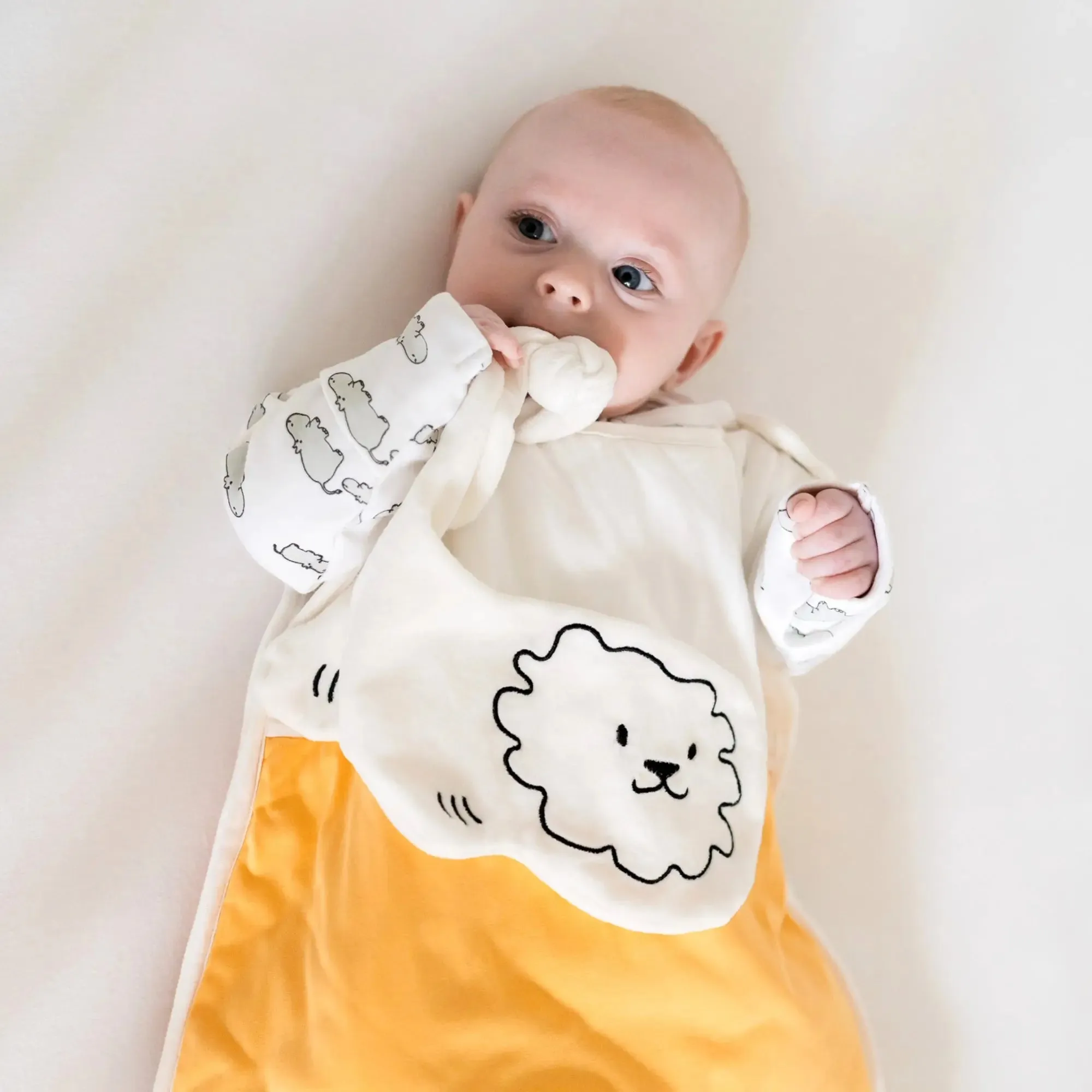 Winter Sleepsuit With Padded Sleeves (2pk) - Hippo